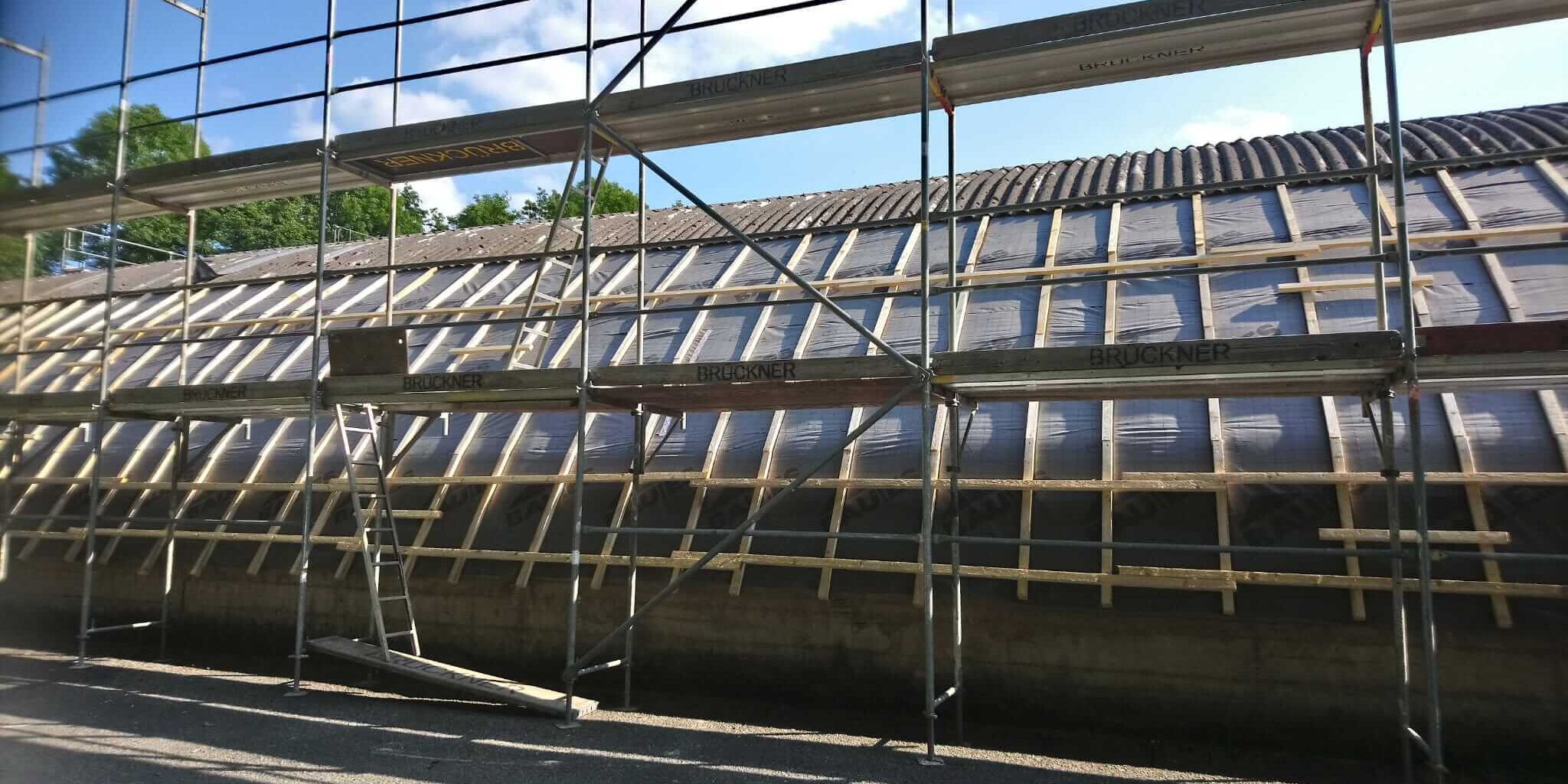 Renovierung Hallendach 2021